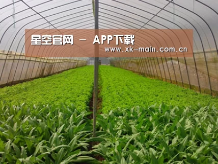 种植基地四