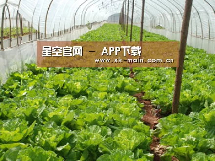 种植基地五