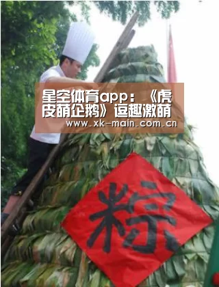 星空体育app