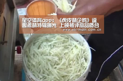 星空体育app