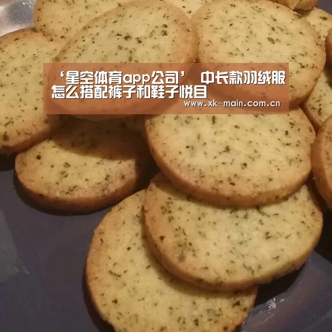星空体育app团队