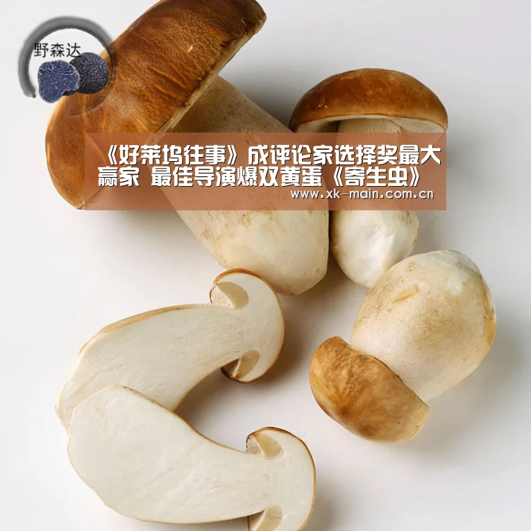 星空体育app公司