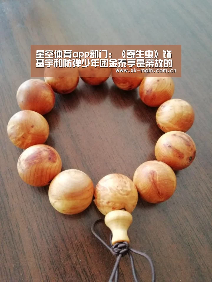 星空体育app团队