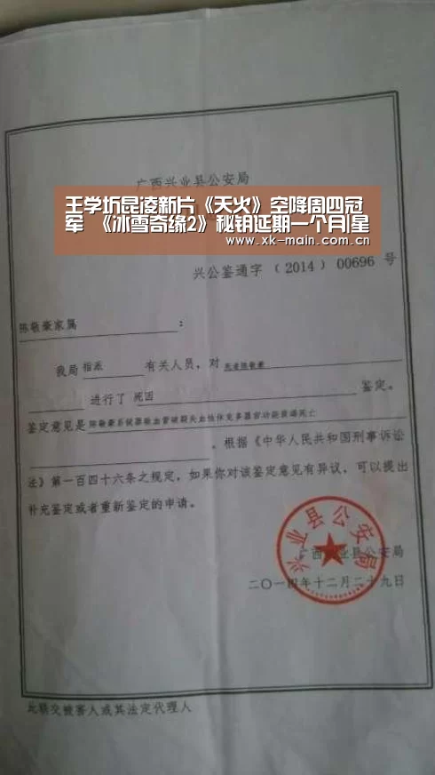 星空体育app团队