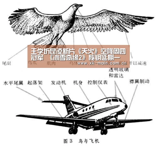 星空体育app