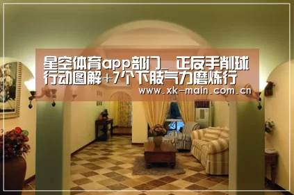 星空体育app团队