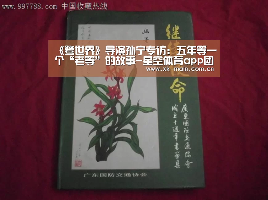 星空体育app团队