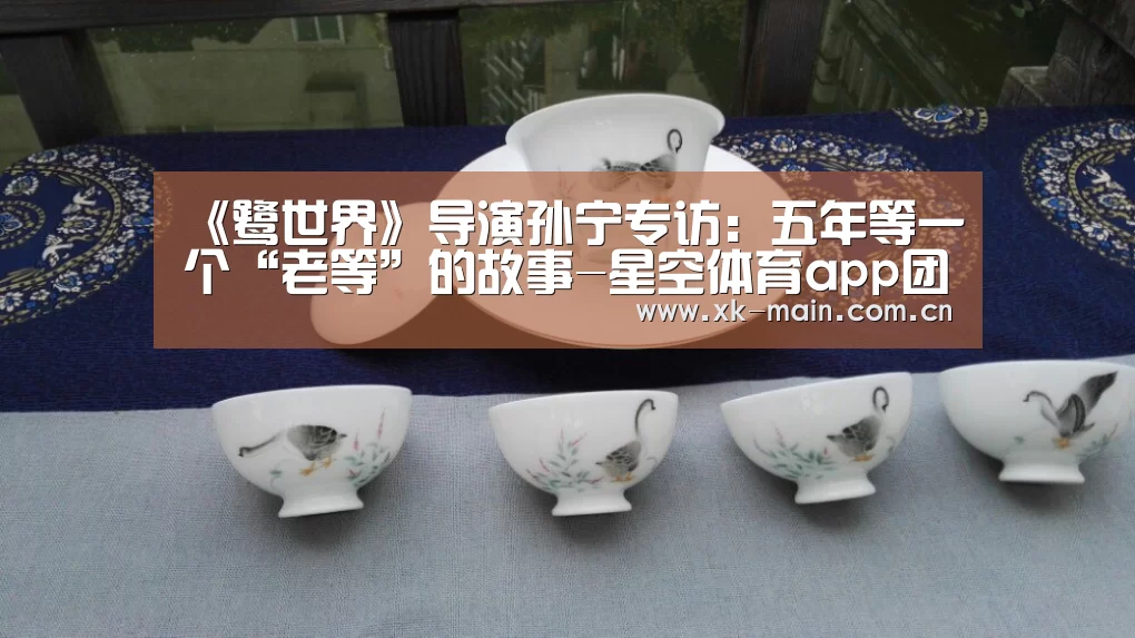 星空体育app团队