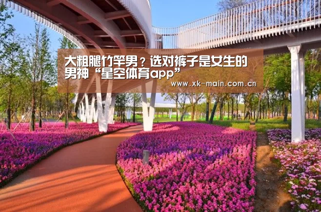 星空体育app部门