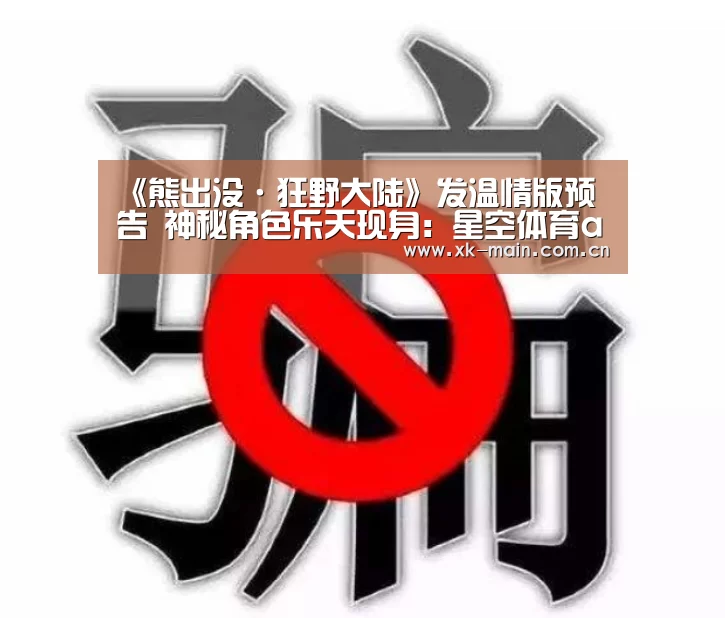 星空体育app团队