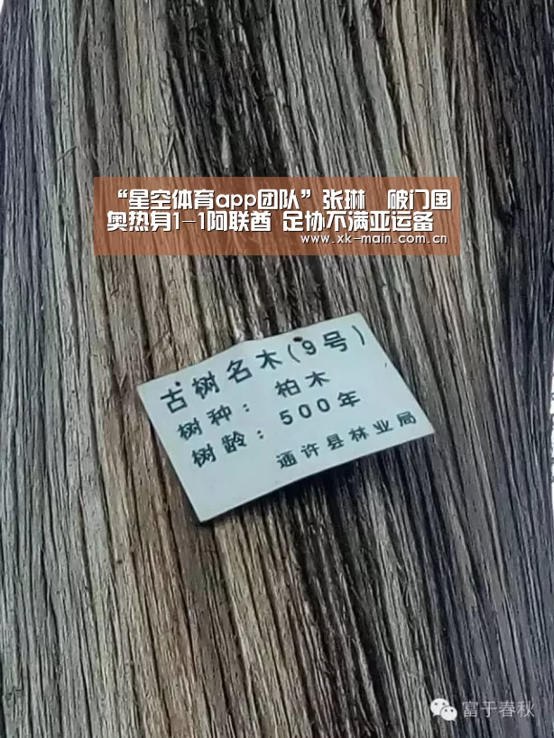 星空体育app