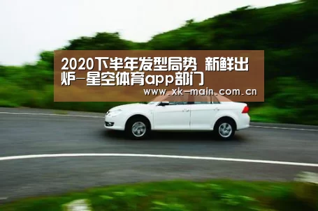 星空体育app团队