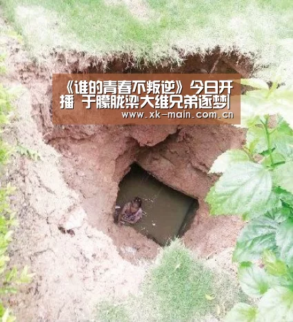 星空体育app