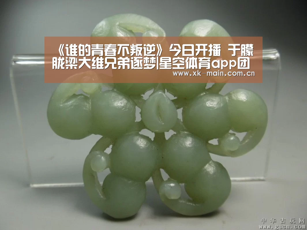 星空体育app团队